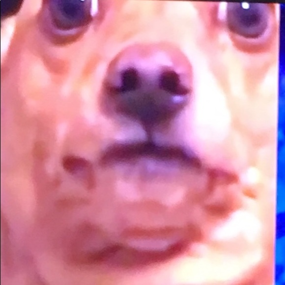 Meet your Posher, Hannah - Picture 1 of 1